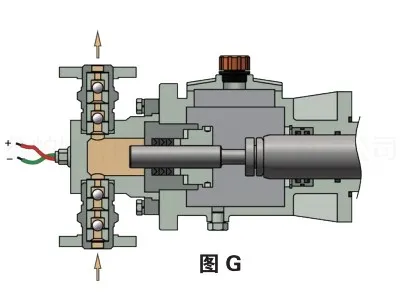 tycpmsc (5)