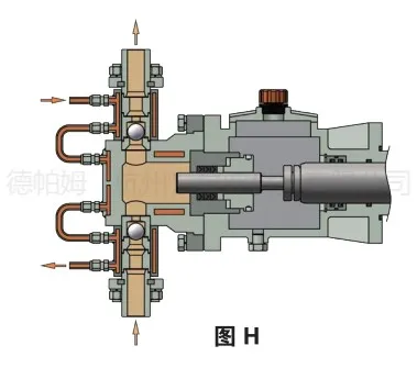 tycpmsc (6)